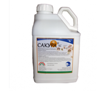 Фунгицид Сакура КС