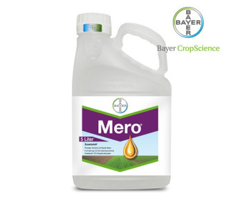 Прилипач Меро Прилипач Меро