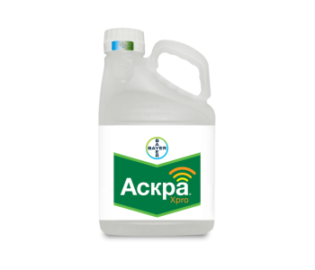 Фунгіцид Аскра Xpro Фунгіцид Аскра Xpro